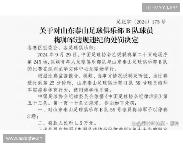 场外人员干扰足球比赛，裁判判罚规则全解析